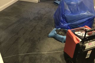 Moisture Meter Testing Carpet 3 | New Life Restoration