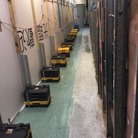 Mould Removal in Retail Shop