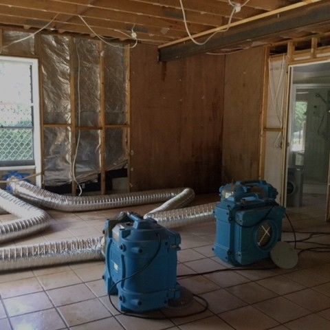 Mould Remediation in Brisbane Home