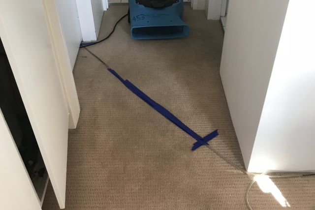 Moisture Meter Testing Carpet 2 | New Life Restoration
